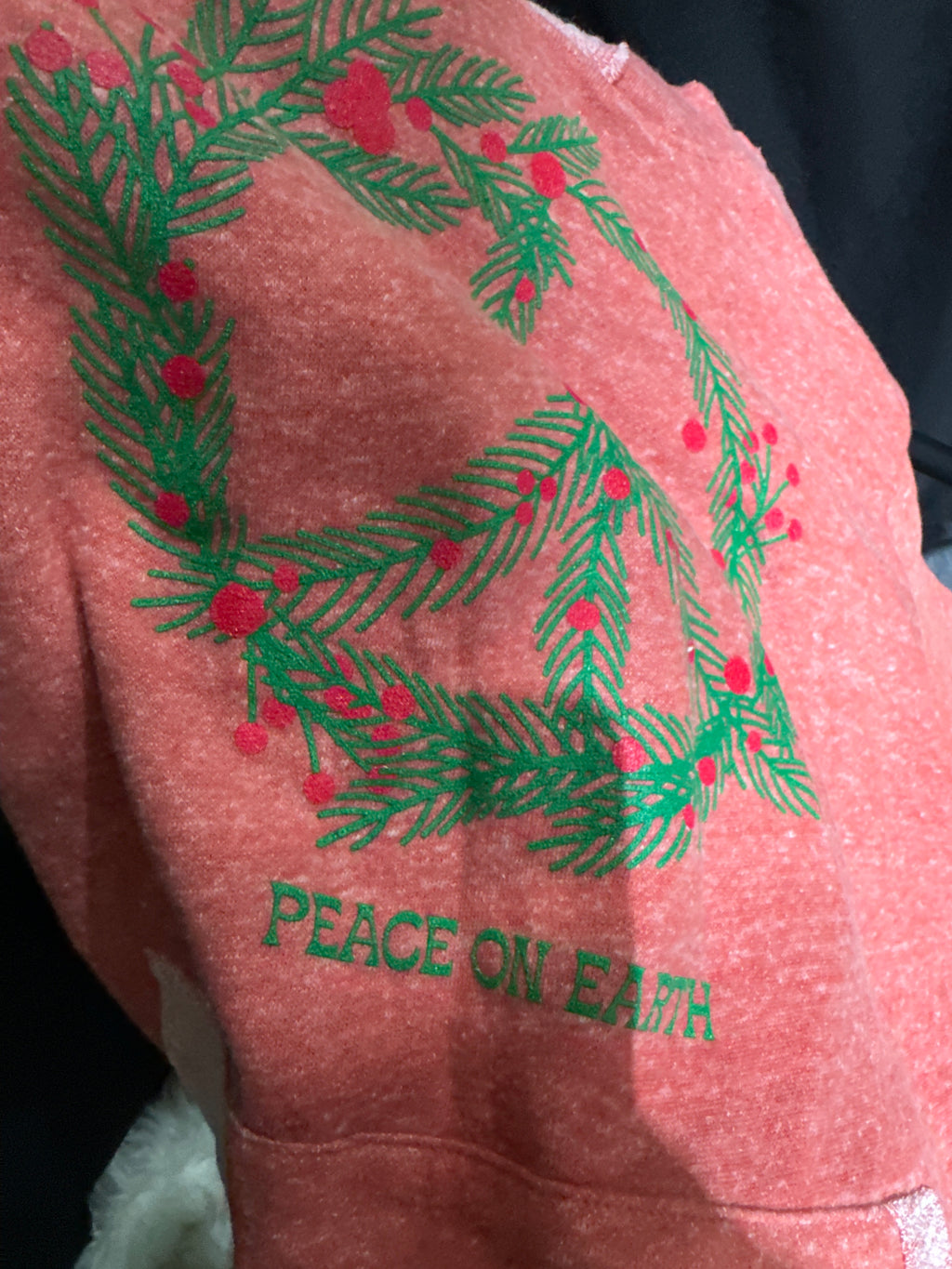 Peach on Earth Hoodie